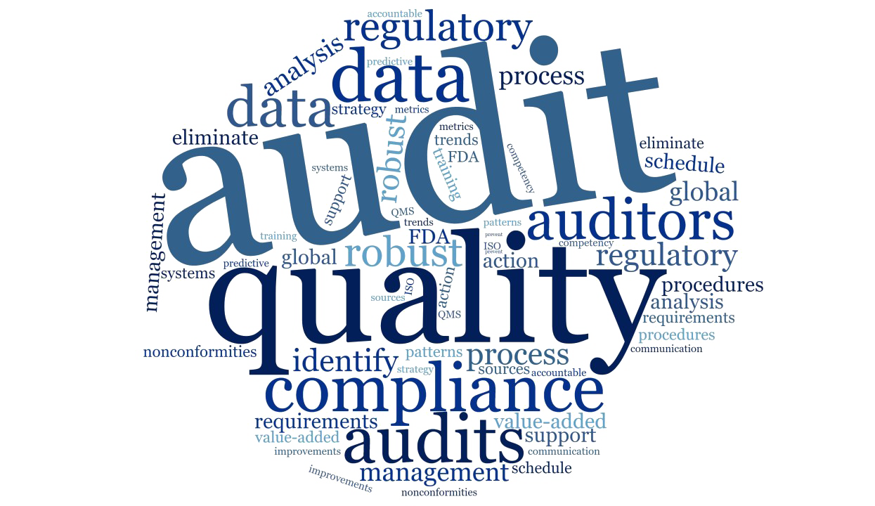 کیفیت حسابرسی داخلی